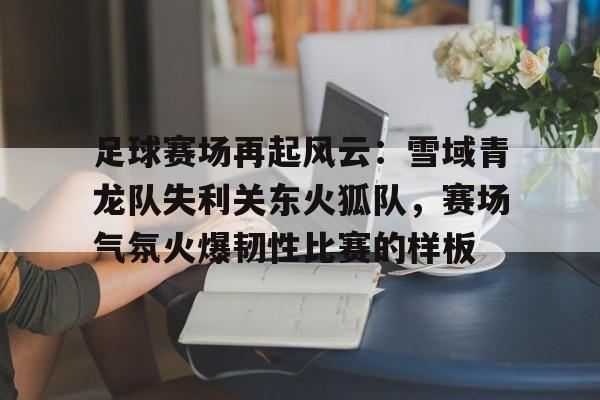 包含足球赛场再起风云：雪域青龙队失利关东火狐队，赛场气氛火爆韧性比赛的样板的词条